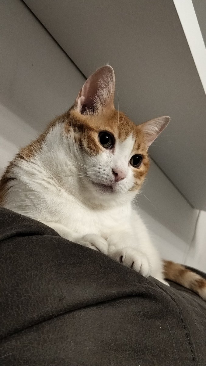 Grazia 🦂♏🤍🖤🤍🖤 tweet media