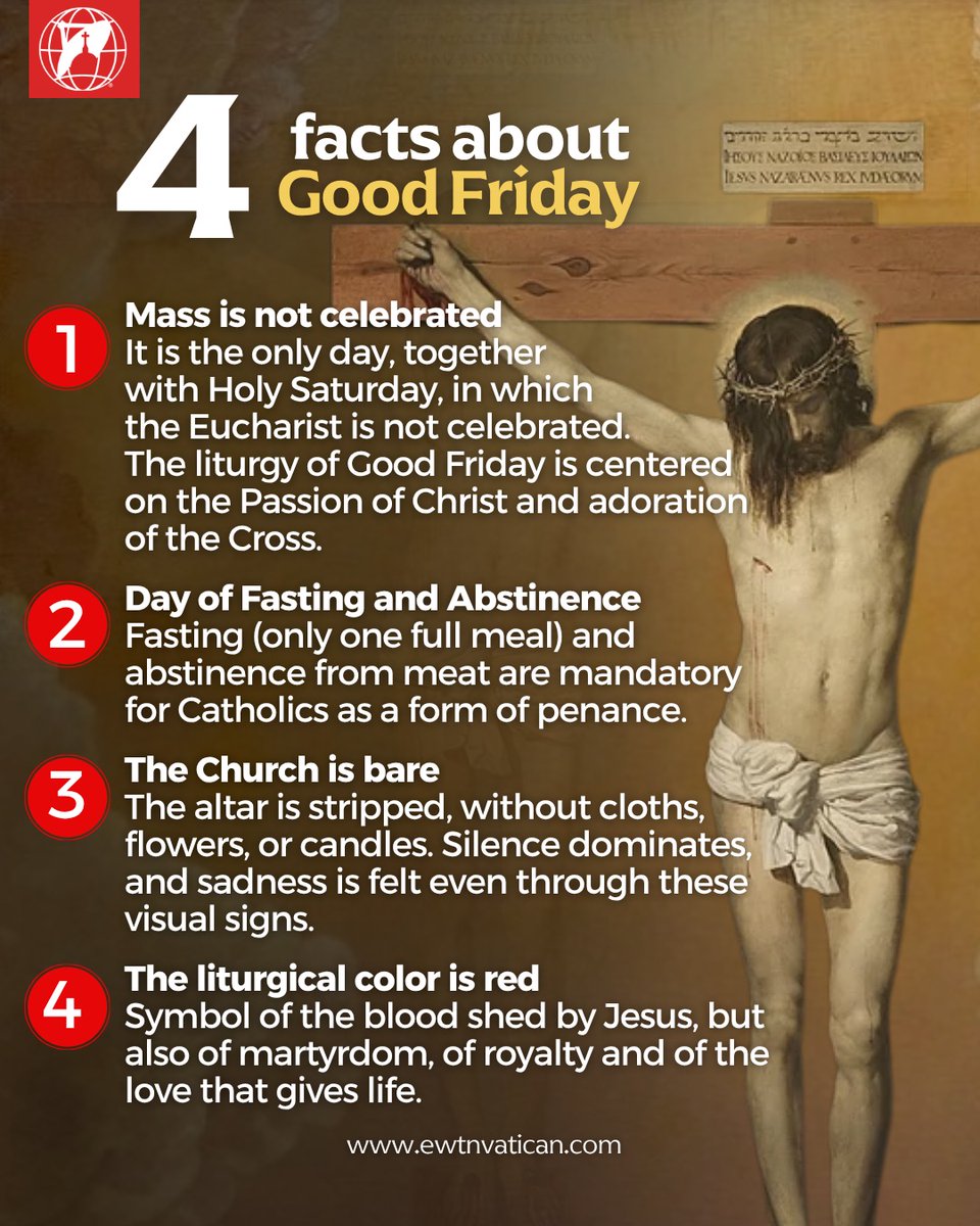 EWTN Vatican tweet media