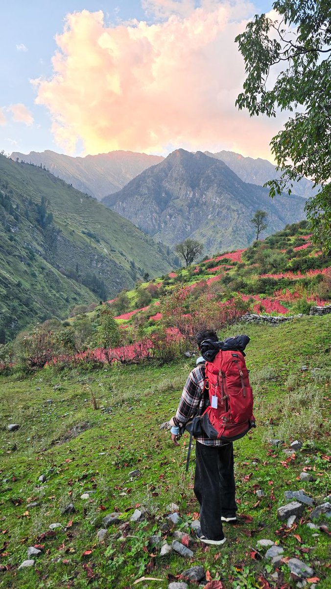 Butlerian Jihad Enthusiast tweet media