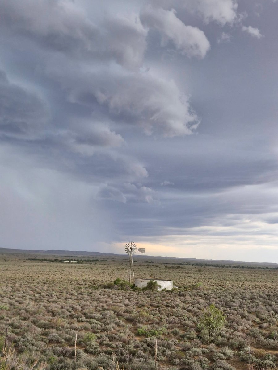 ReenvalSA tweet media