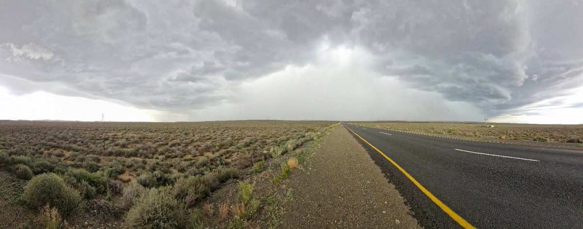 ReenvalSA tweet media