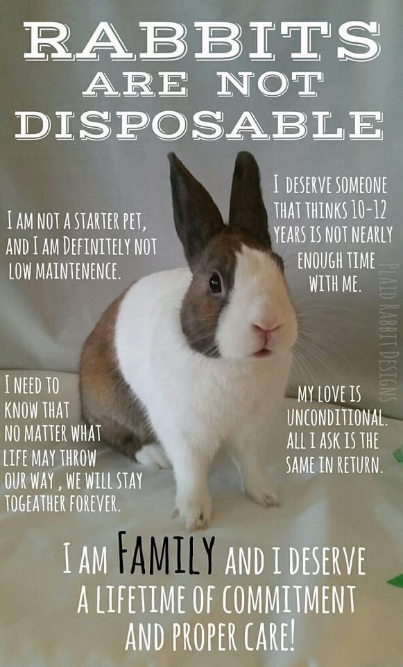 Barbara B tweet media