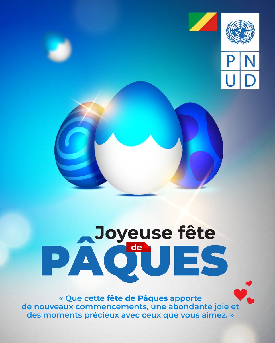 PNUD Rép du Congo tweet media