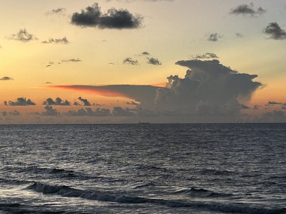 SıLэПТxGuЯu tweet media