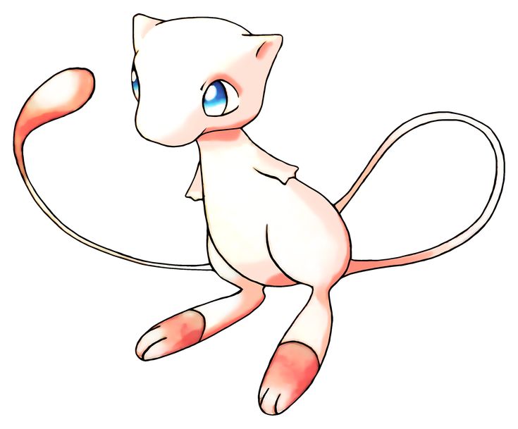 Collector Select tweet media