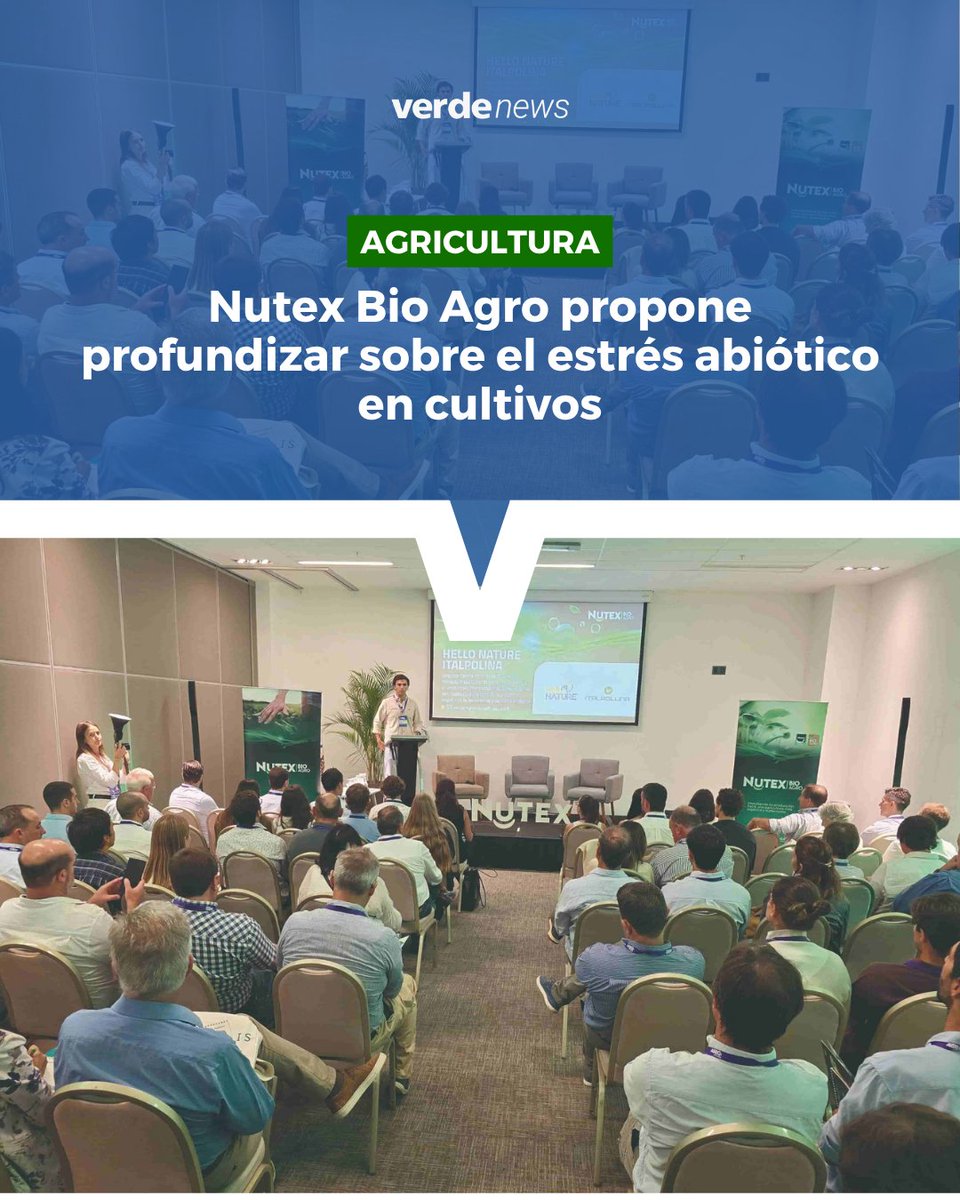 verdemedia tweet media