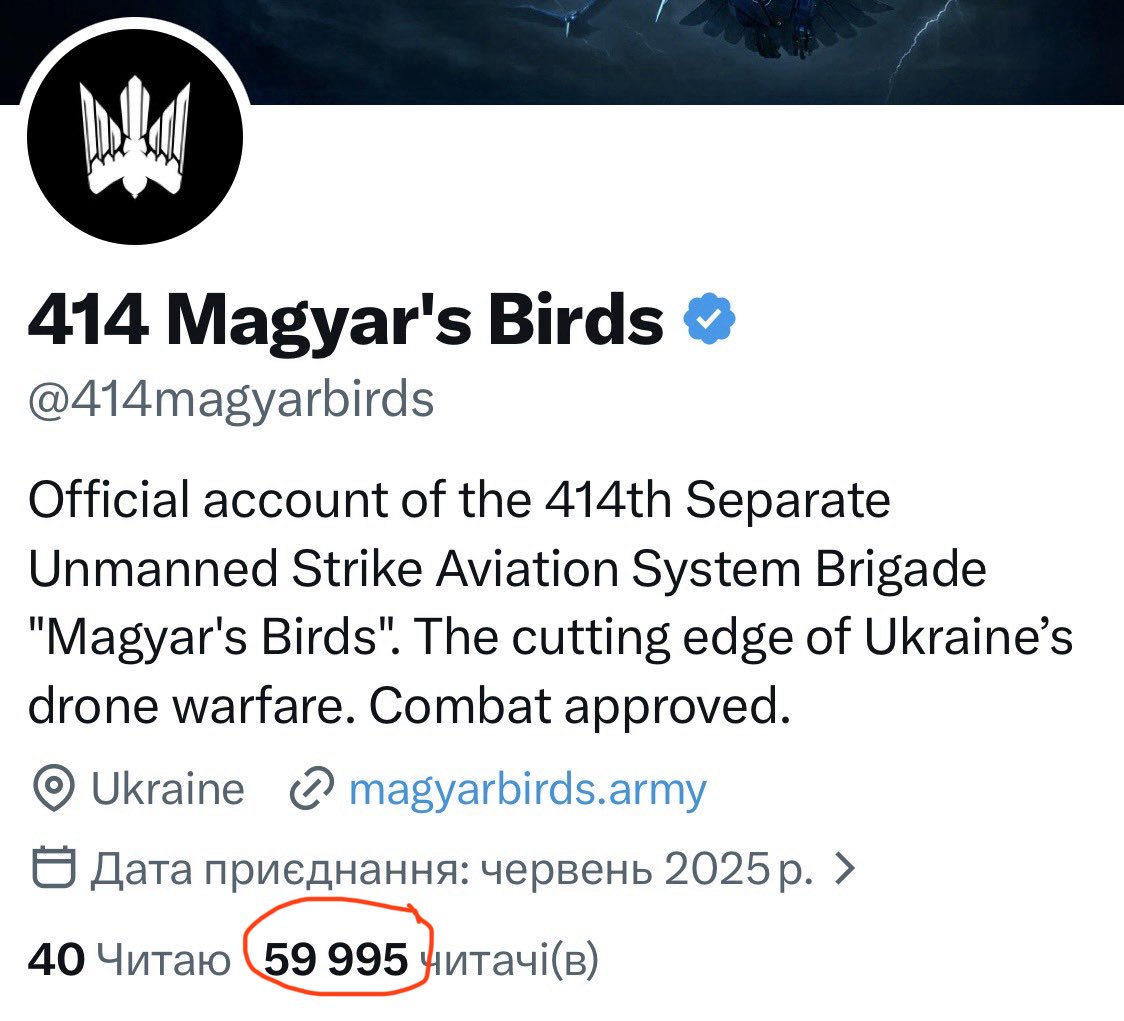 414 Magyar's Birds tweet media