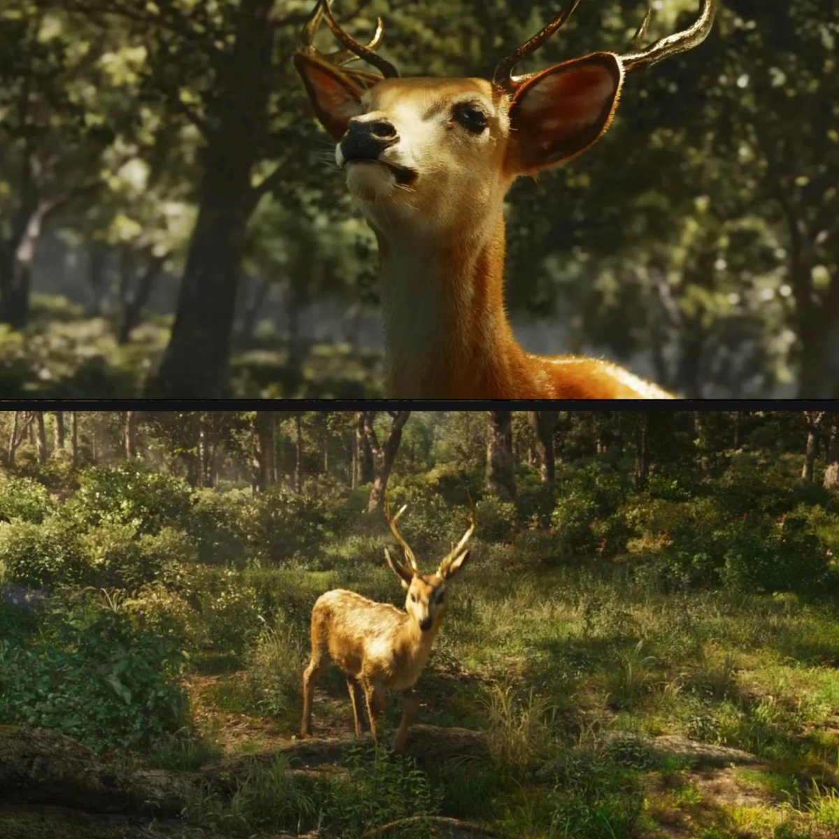 Sanjay Reddy tweet media