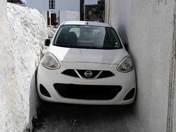 Pirinenc feréstec. tweet media