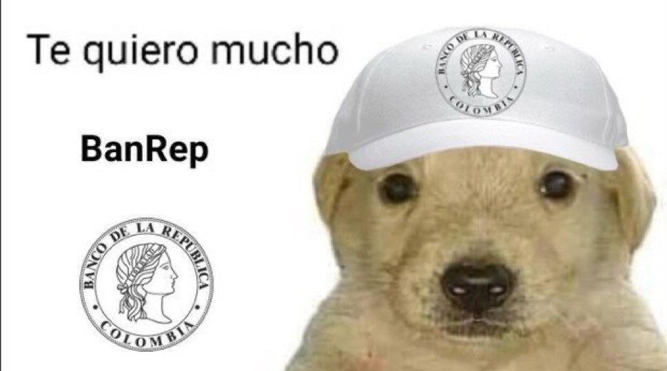 Daniel Ruge tweet media