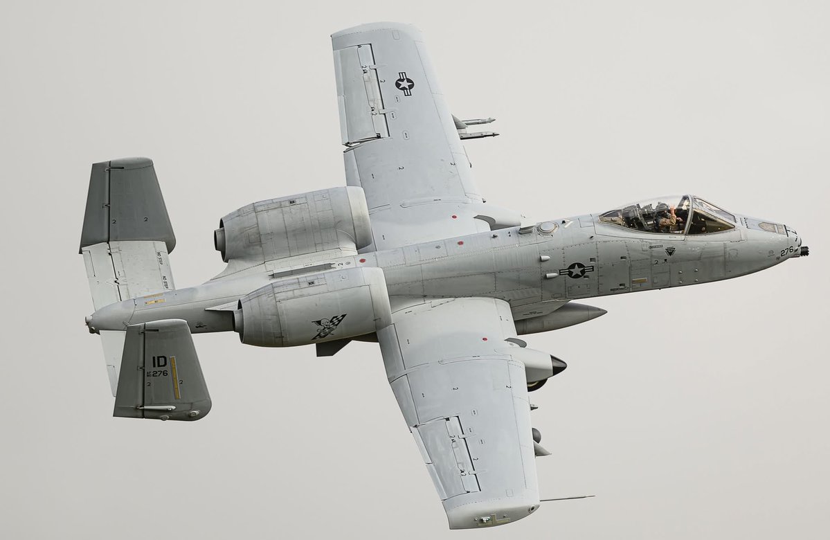 OSINTtechnical tweet media