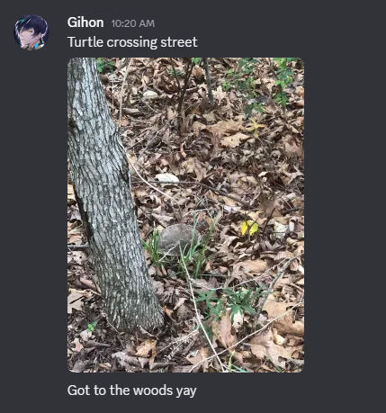 Royal Blu || Lion VTuber || Artist & Author tweet media