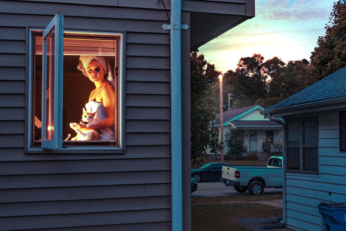 Cowboy the Terrible tweet media