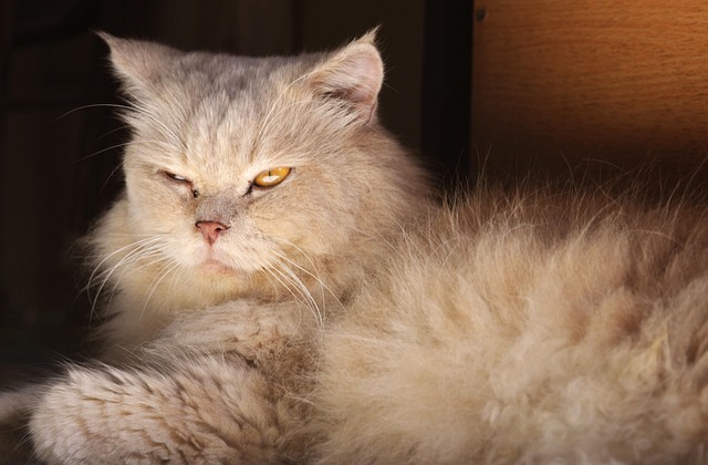 Jack Flint tweet media