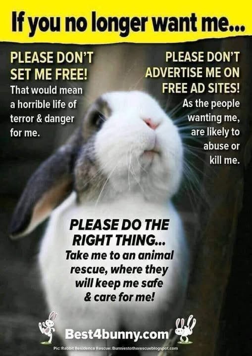 Barbara B tweet media