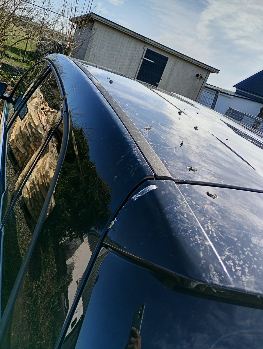 Katarina Krusidull ll 🍄 tweet media