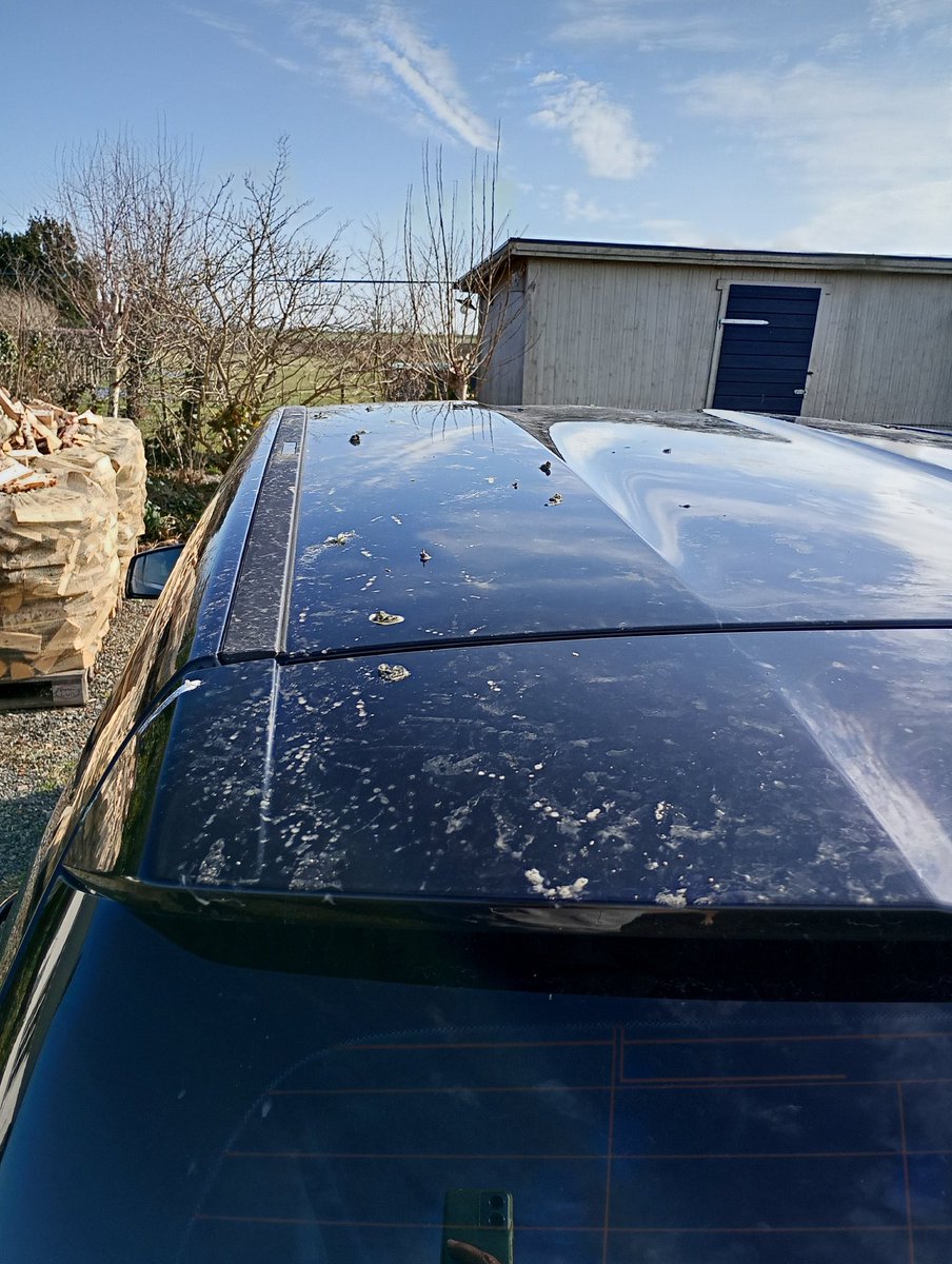 Katarina Krusidull ll 🍄 tweet media