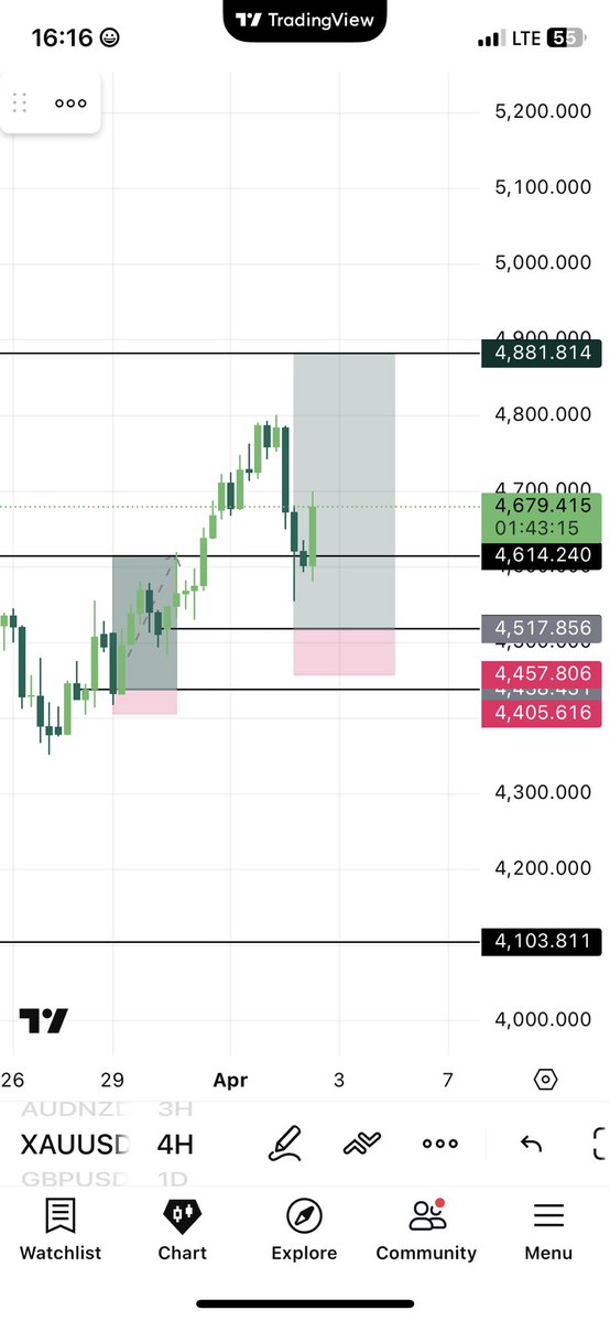 Shalele 📈 tweet media