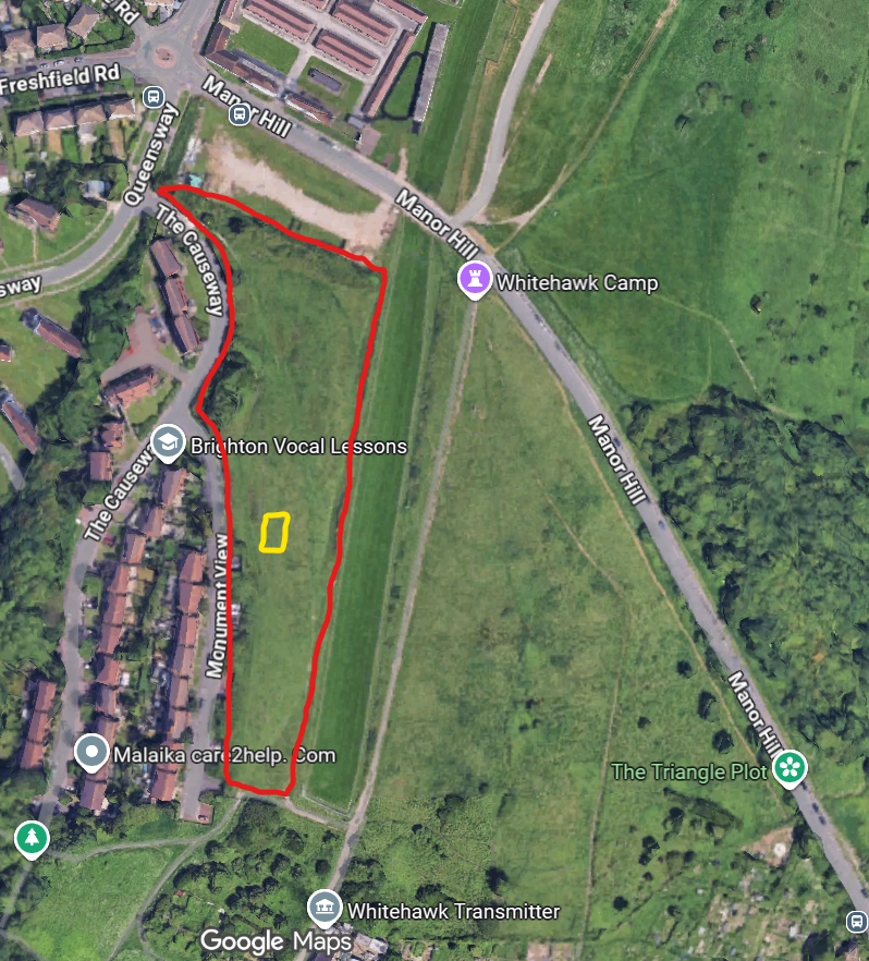 BHSheep's tweet photo. The sheep have moved from the main hill on Whitehawk to the other side of Manor road on the west hand side :) https://t.co/MWO8ffuhD9