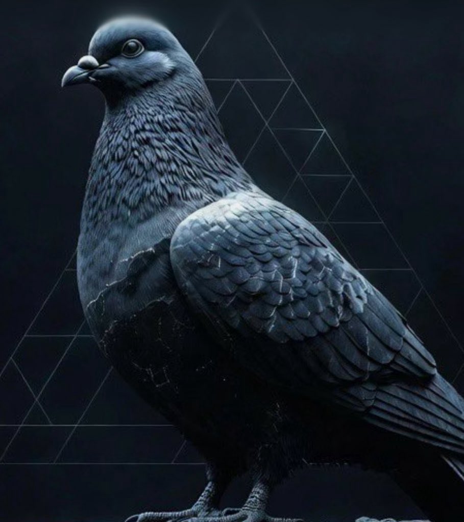 HuntAres0's tweet photo. So i wasn't gonna tweet about this but @AxiomExchange team pissed me off.

I reached out to the head of product & BD with a greeting message and a small  brief about Pigeon and his first thing he strikes is the upfront fee + a long term incentive revenue share,no other questions asked.

Then i shared with him all the details and the docs needed to review @941pigeondotfun.

He answered 3 days later with a 6 figures integration fee requirement.

I asked to book a call to be surprised with an answer of the requirement is now in the mid-high 6 figures.

No questions asked about anything concerning the tech or the launchpad.

Every message was sent to me was about money, and in a superior way.
We do know that they're a business and they need to make profits, but their deals are structured to suck all the liquidity that is needed to build the projects.
We don't need this.We don't need money vampires and extractors.

We will continue to build with the platforms that wants to make this space better and not the ones that want to extract from every trader and project.

Pigeon will rise with or without you🫳🏻

Psalms 9:41