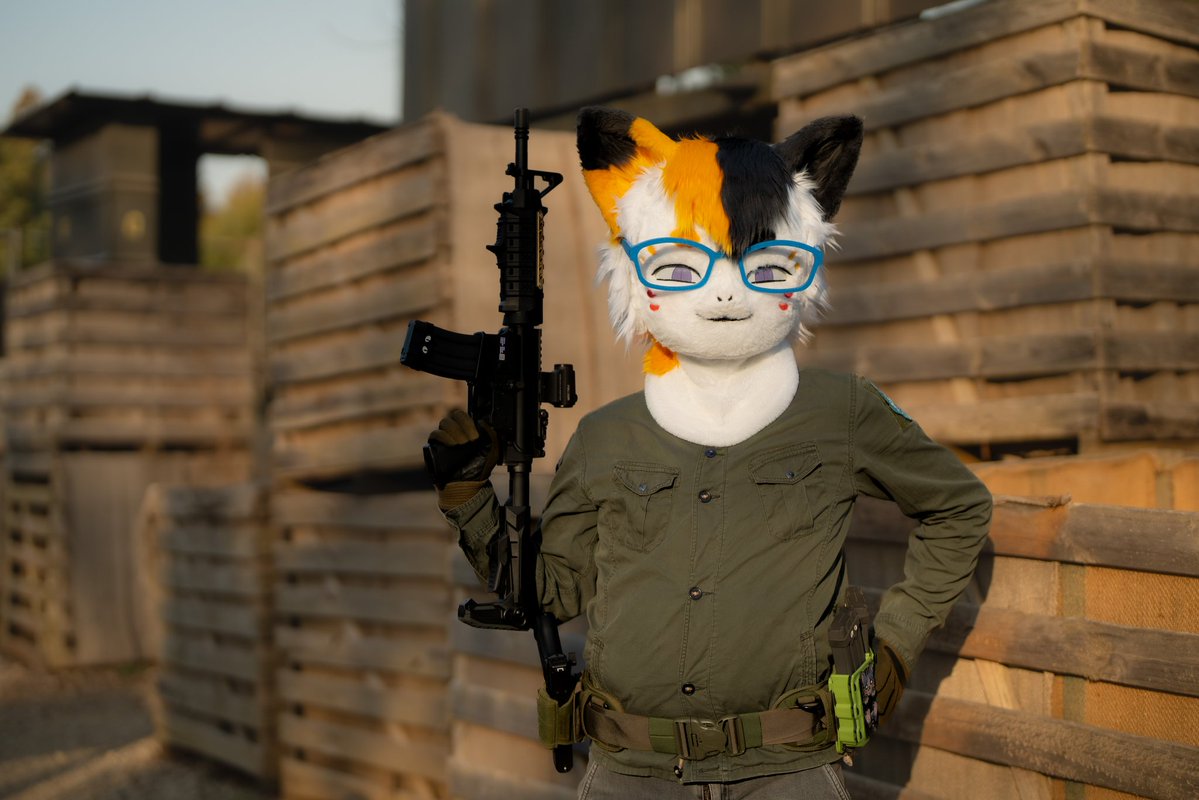 FLEET(ねこのすがた) tweet media