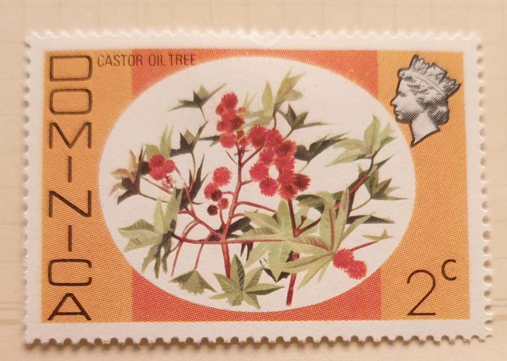 Shane McDonnell tweet media