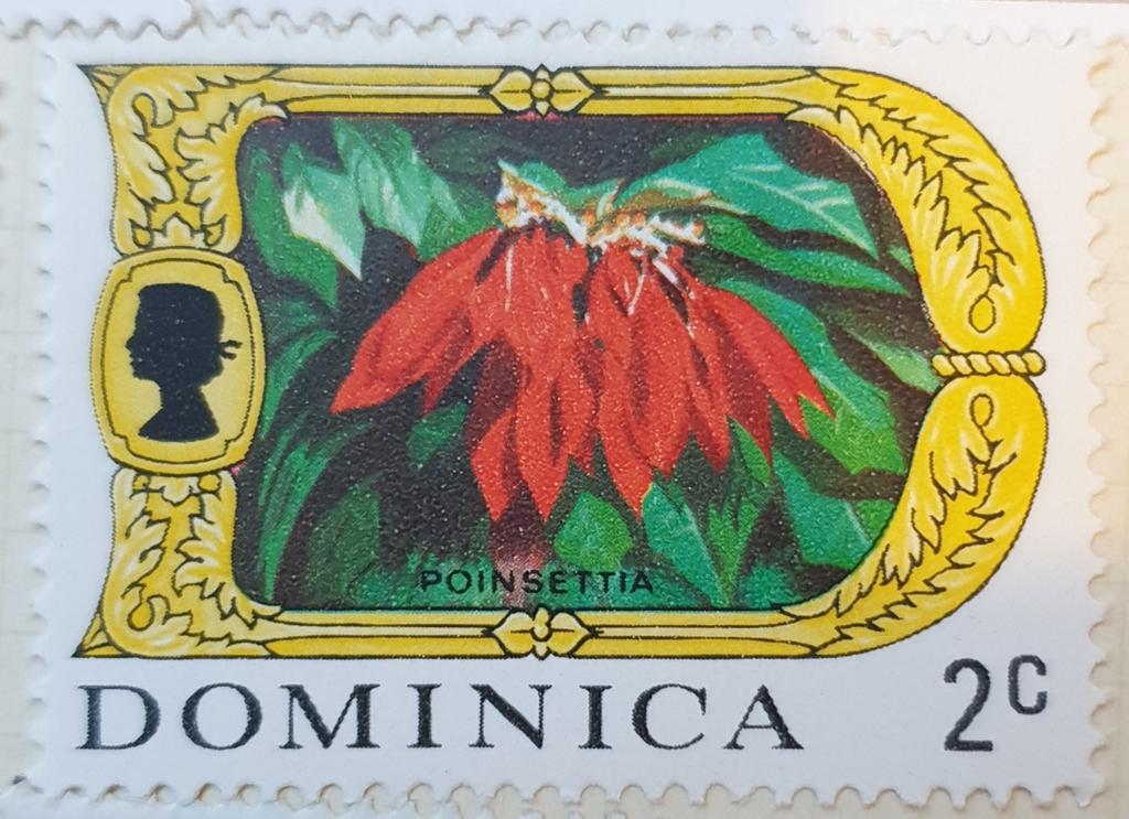 Shane McDonnell tweet media