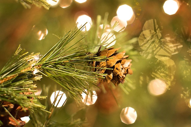 Jeffrey Ware tweet media