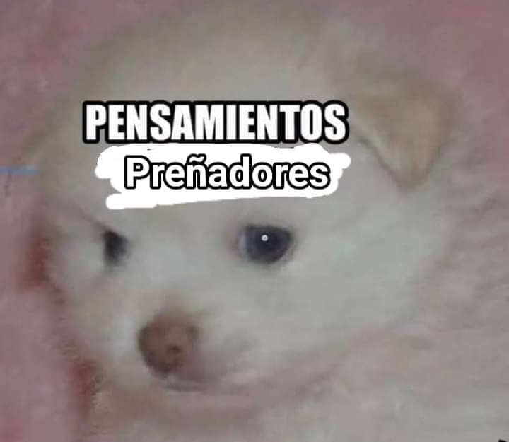 🇲🇽💙🔞Nelink🔞💙🇲🇽 tweet media