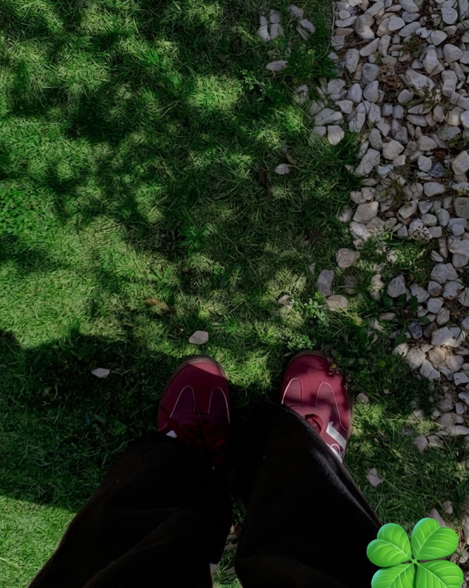 ˚ִִ ˖ tot🫐˚ִִ ˖ tweet media