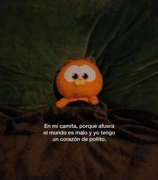 eldolardiario's tweet photo. https://t.co/JYJodELP1B