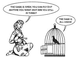 Griffden tweet media