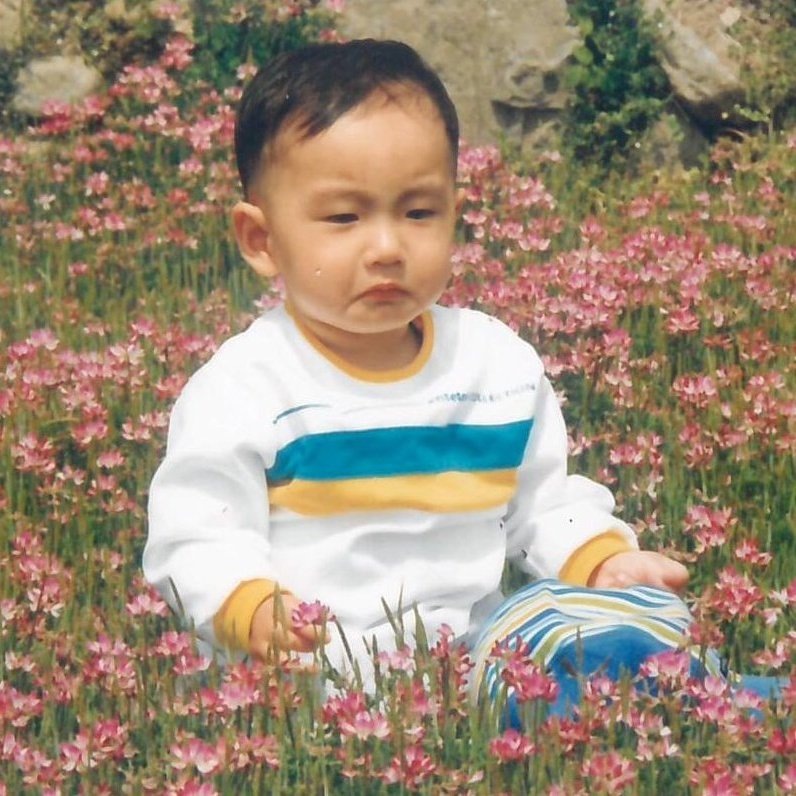 Lemon Tree tweet media