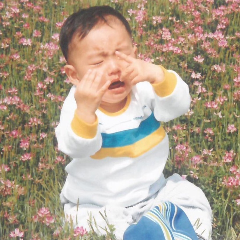 Lemon Tree tweet media