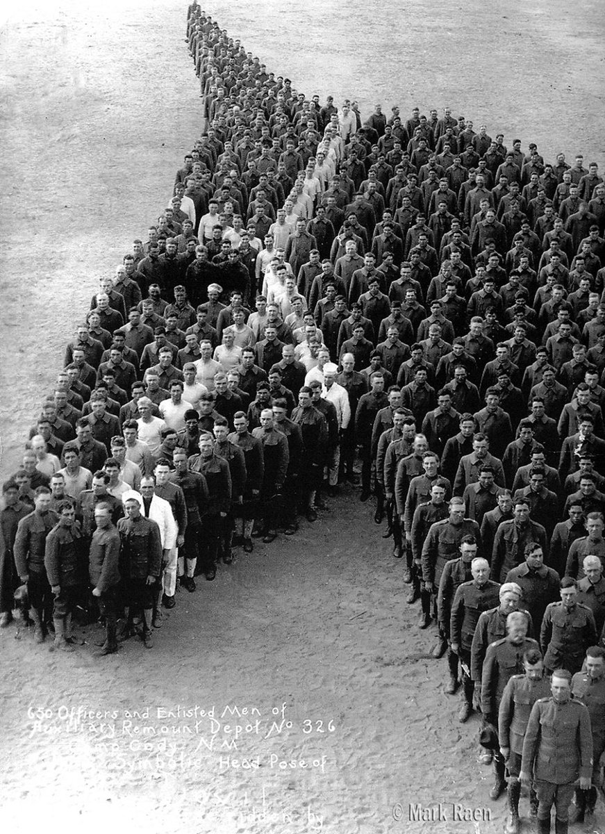 Oliver ೫ tweet media