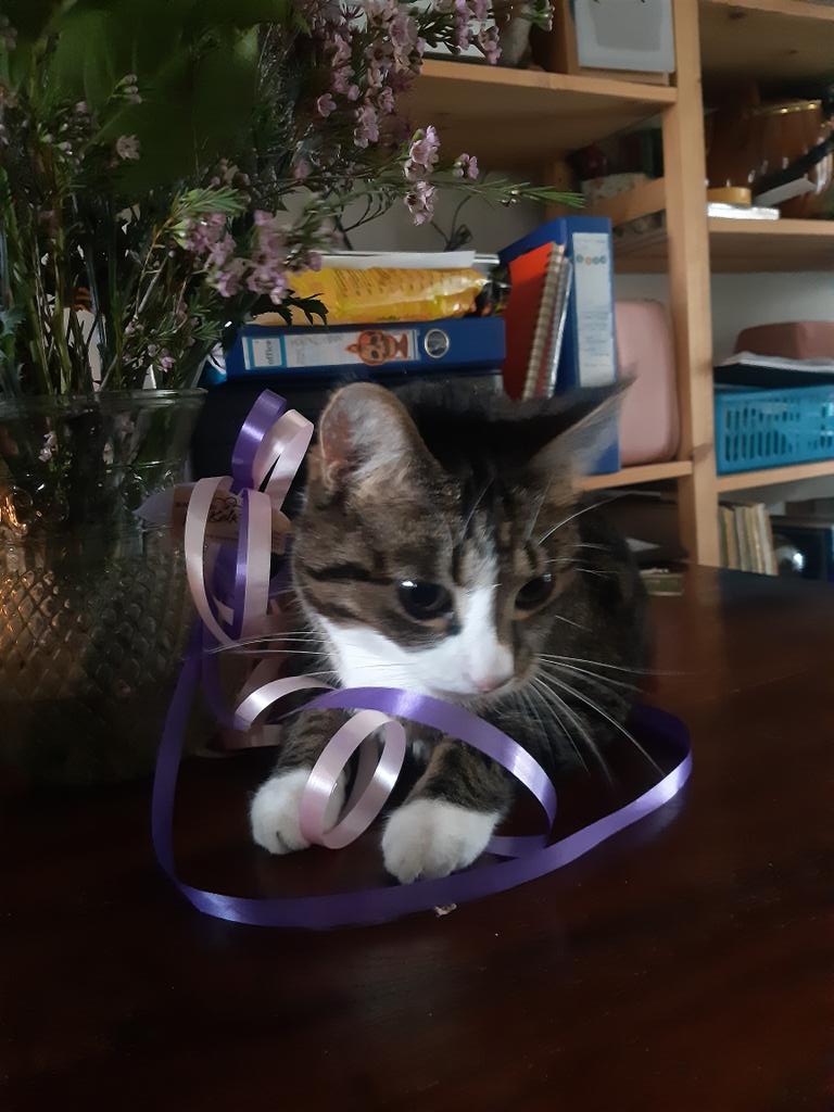 Barbarella tweet media