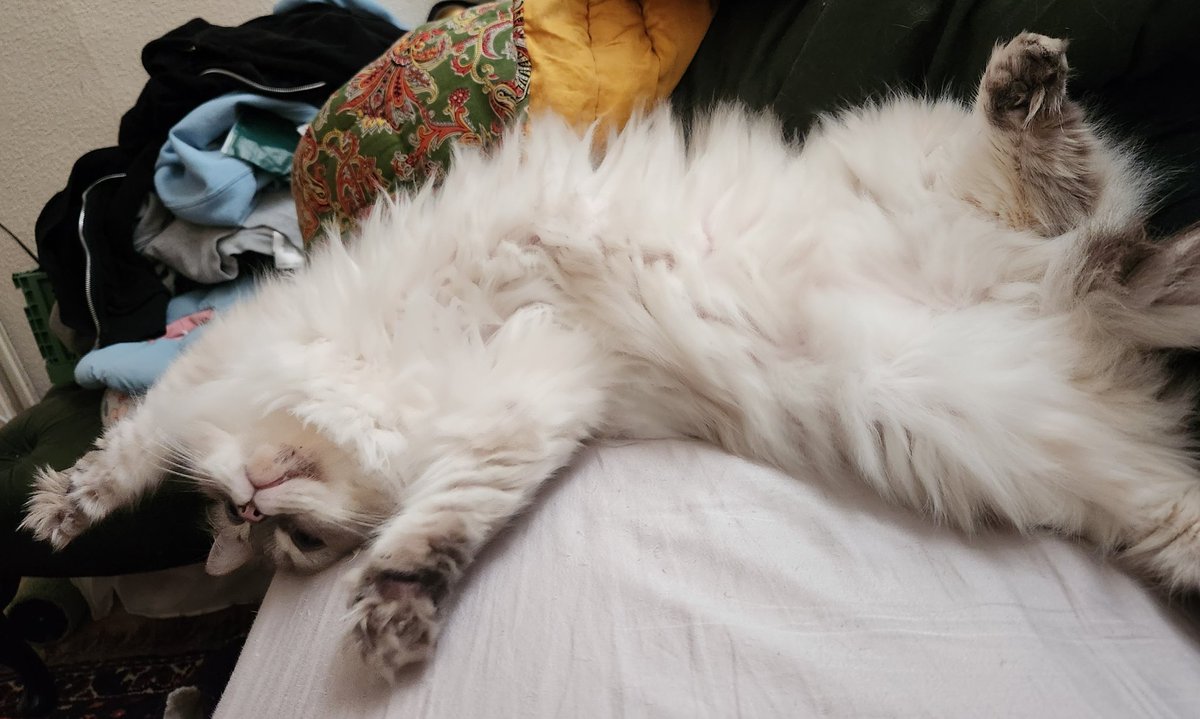 friday | harrow marrow soup | tweet media