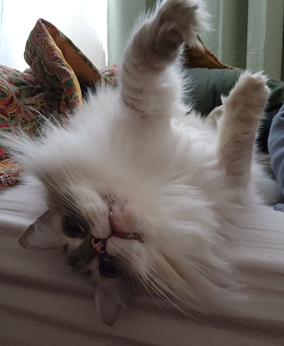 friday | harrow marrow soup | tweet media