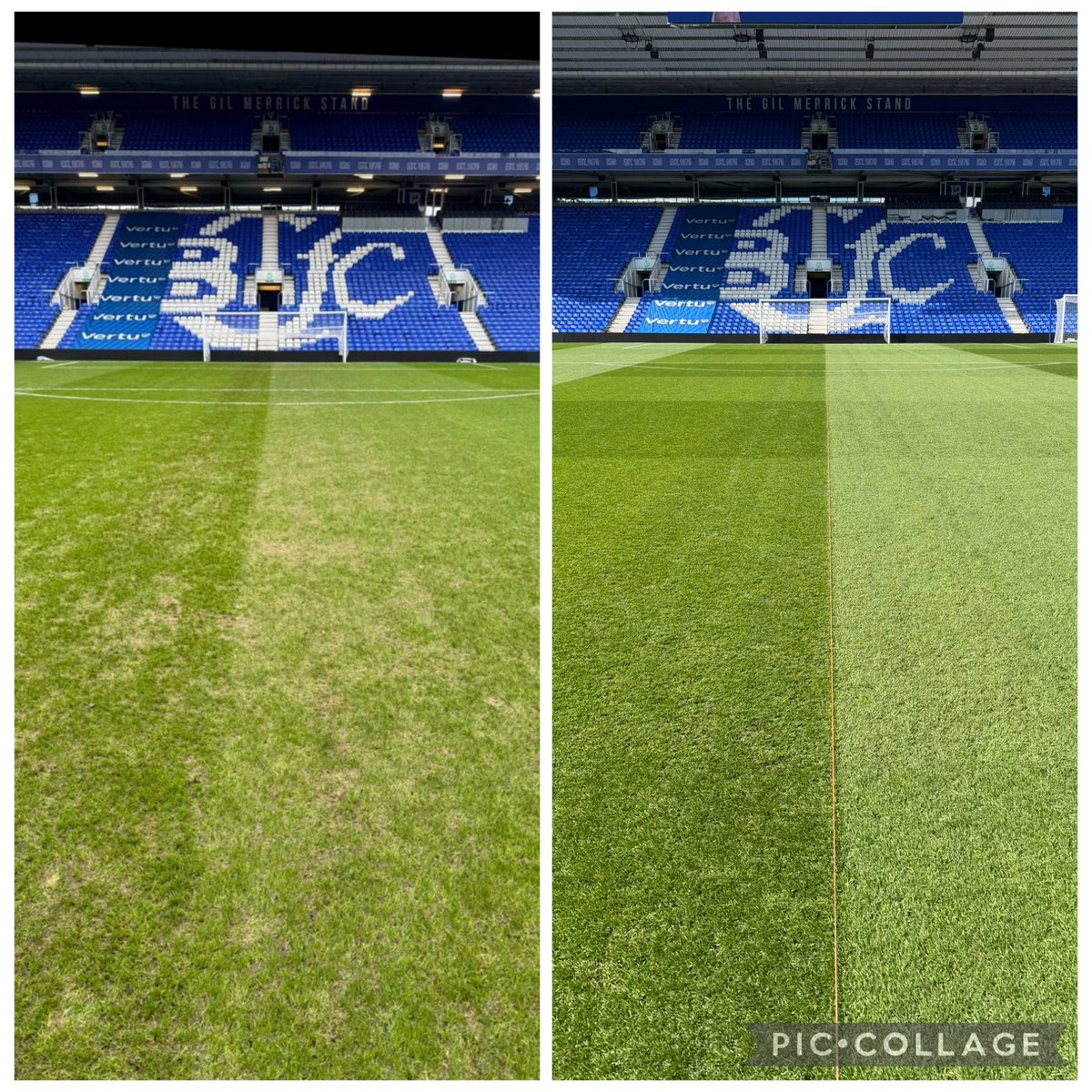 Chris Long tweet media