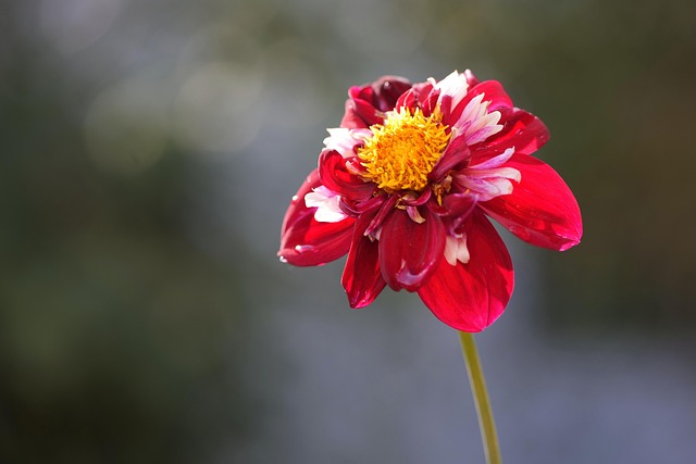 Jami Holland tweet media