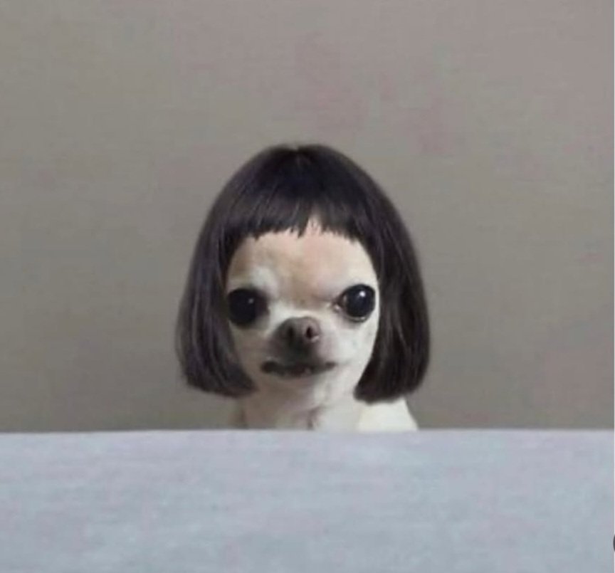 Claire😤 tweet media