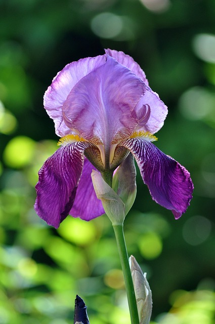 Hallie Schneider tweet media