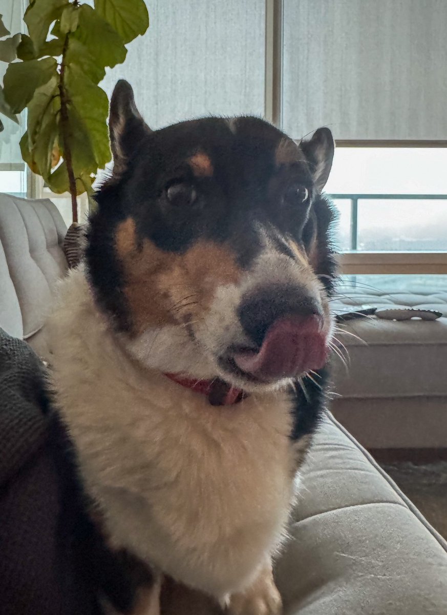 Rude Ralph tweet media