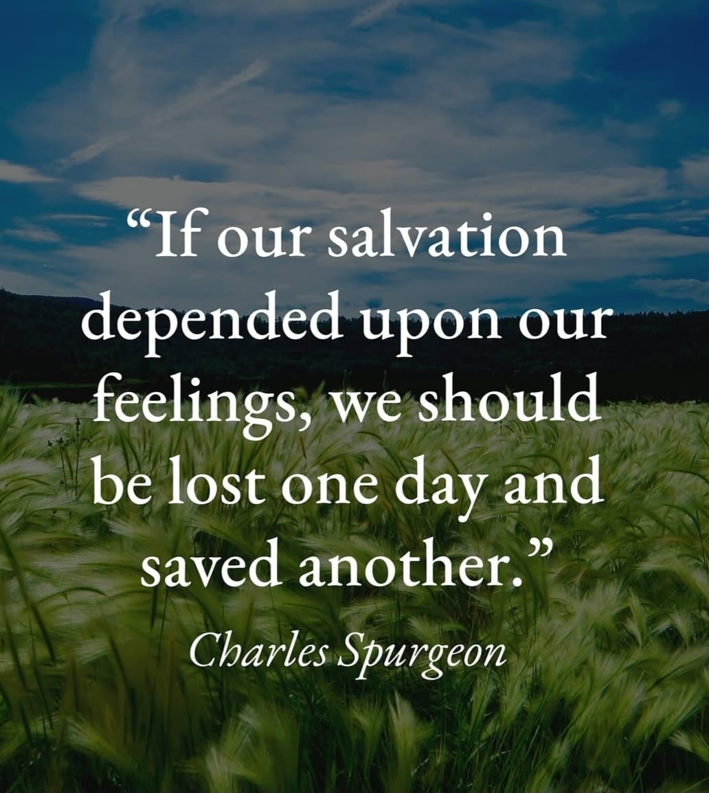 Dan Serns tweet media