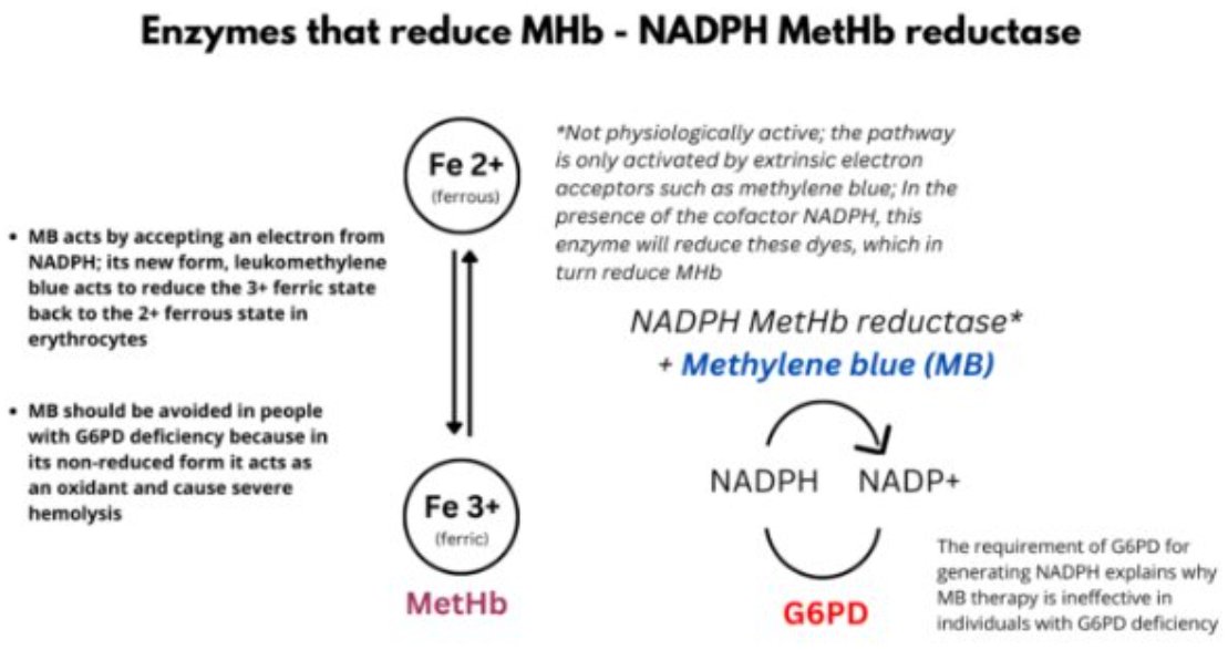 CoryRohlfsen's tweet photo. Today I led AM Report &amp; learned that tx of #methemoglobinemia in pts w/ #G6PDdeficiency should be w/ vitamin C since methylene blue requires NAPDH as a reducing agent (scarce in G6PD def).

@ASanchez_PS @ercowboy @doc_BLocke @jasonryanmd @ROKeefeMD @allisonoconn @grepmeded https://t.co/YZmSSVNRyM