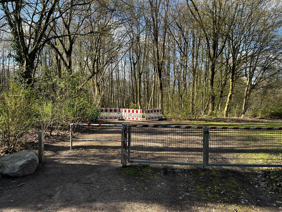 Daniel Opitz tweet media