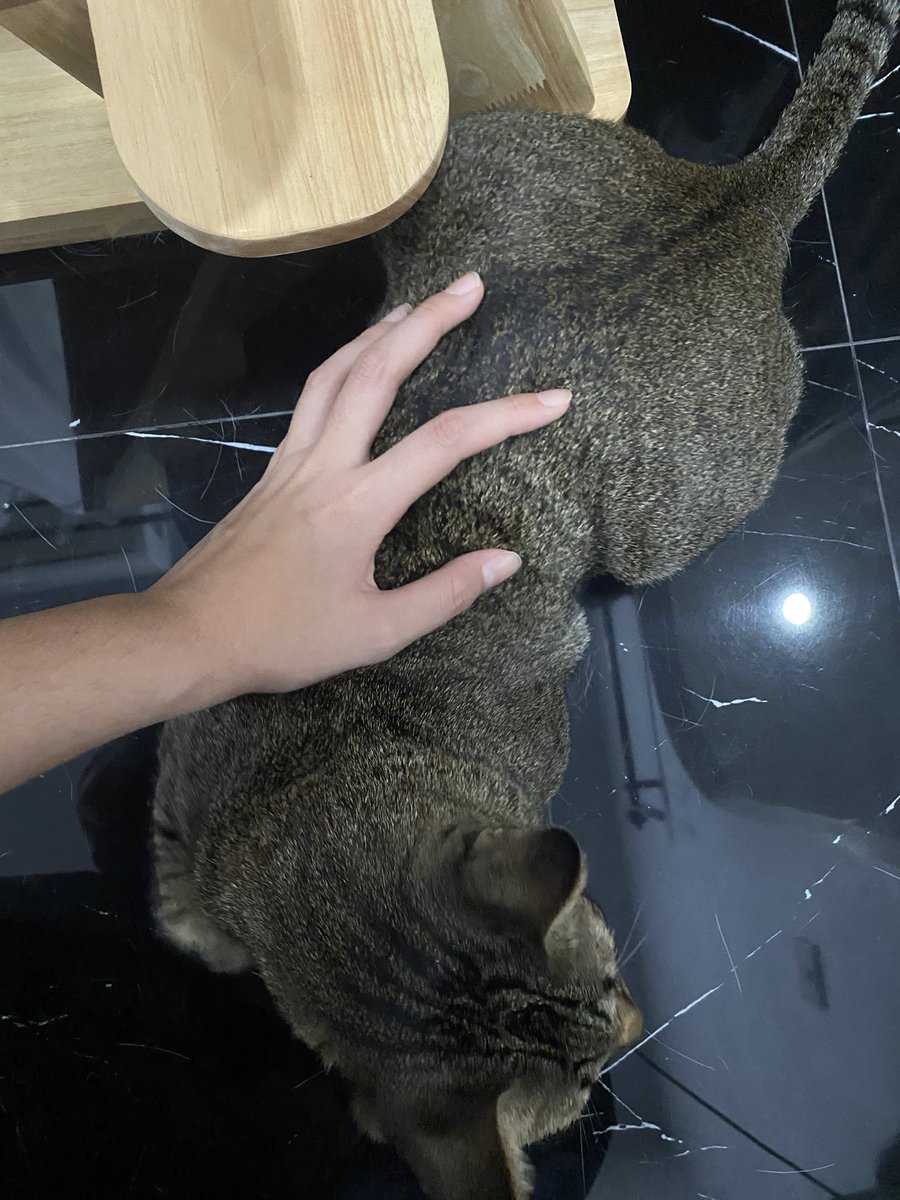 แ hน๋วเp๊ก tweet media