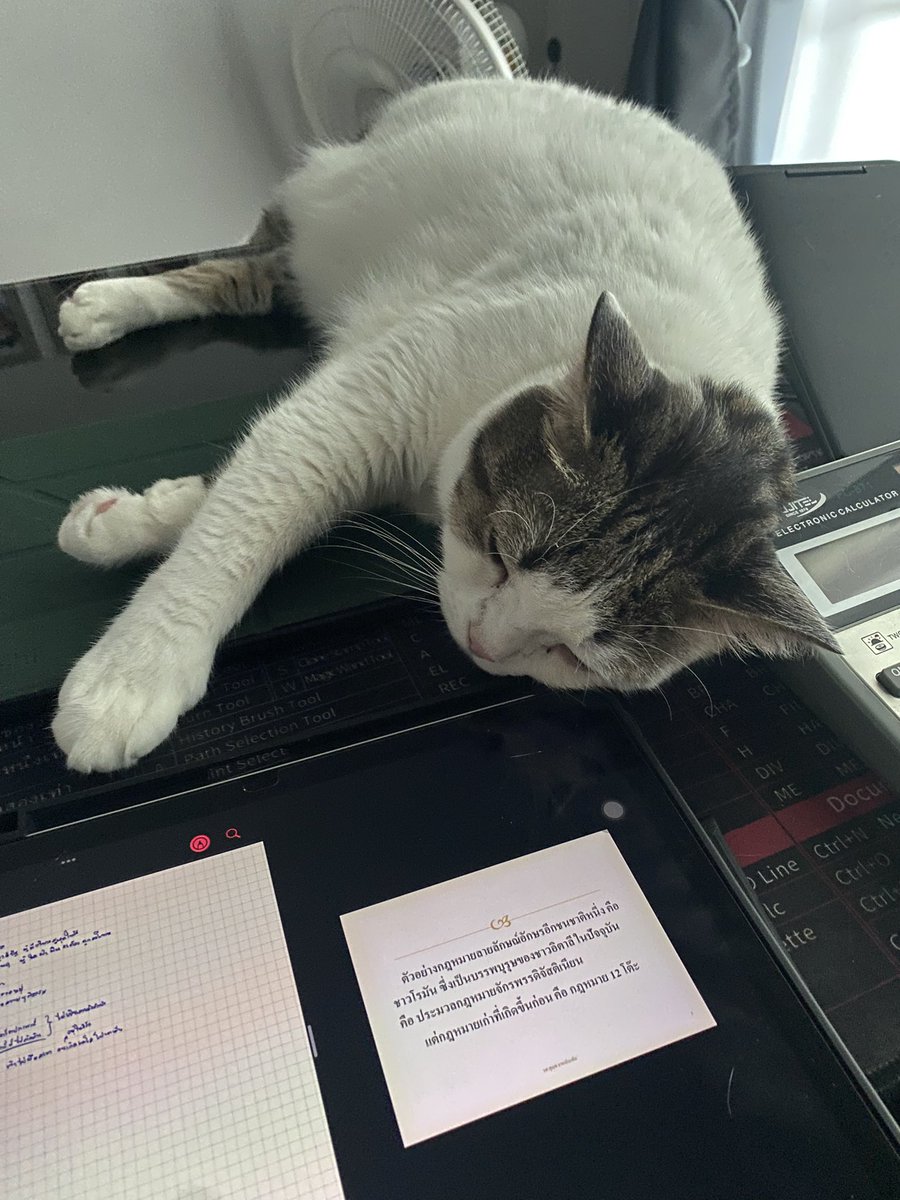 แ hน๋วเp๊ก tweet media