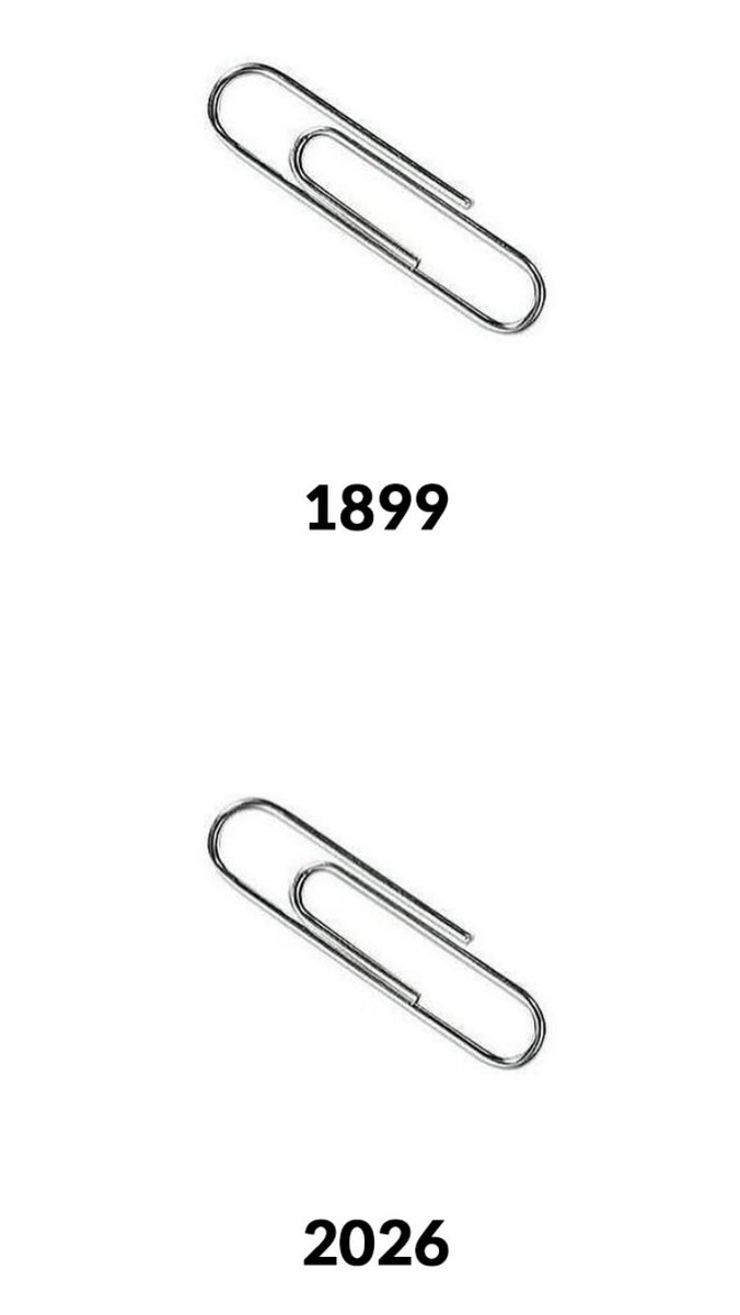 캣츠파파 tweet media