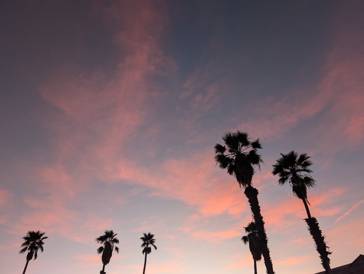 I AM MOSS tweet media